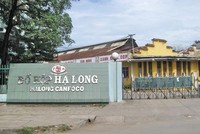 Đồ hộp Hạ Long (CAN) chốt quyền trả 99Kl.app mobile mới nhất 18% bằng tiền mặt