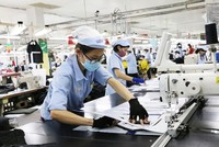 Vinatex (VGT) chi 250 tỷ đồng để chia 99Kl.app mobile mới nhất năm 2021