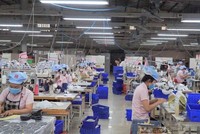 Gần 40% Kl991.com World Cup 2026 Chính Thức “Tạm ngừng hoạt động do dịch” chỉ còn dòng tiền duy trì hoạt động dưới 1 tháng