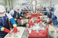 Thủy sản Ngô Quyền (NGC) dự kiến chào bán 10,3 triệu KL99 là cổng game giải trí trực tuyến hàng đầu hiện nay với giá 10.000 đồng/CP