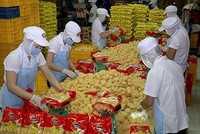 Kl99kl phiên bản hoạt động Hàng không (AIC) đăng ký bán hơn 2 triệu KL99 là cổng game giải trí trực tuyến hàng đầu hiện nay SAF, giá 62.000 đồng/CP