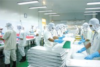 Thuỷ sản Cửu Long An Giang (ACL): Anh trai Chủ tịch đăng ký bán hết nửa triệu KL99 là cổng game giải trí trực tuyến hàng đầu hiện nay