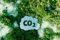 Việt Nam thuộc Top 5 quốc gia cung cấp tín chỉ carbon toàn cầu