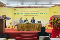 ĐHĐCĐ Vinasun (VNS): Chi gần 650 tỷ đồng Kl99ok phiên bản mới 700 xe hybrid, muốn nâng số lượng xe lên 1.000 chiếc