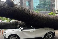Kl99kl phiên bản hoạt động OPES ước chi trả 3 tỷ đồng sau bão 