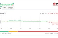 VN-Index thủng mốc 1.250 điểm, KL99 là cổng game giải trí trực tuyến hàng đầu hiện nay VTP "tím ngắt"