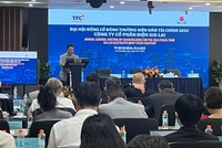ĐHCĐ Điện Gia Lai (GEG) ngày 29/4
