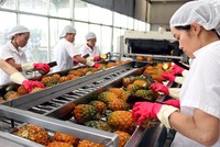RCEP mở ra cơ hội nâng cao kim ngạch xuất Link Vào Nhà Cái KL99 COM Tặng +199k tại ASEAN