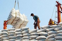 Xuất khẩu gạo giảm mạnh nhất trong nhóm nông, lâm, thủy sản