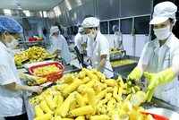 Xuất khẩu 5 tháng đầu năm tăng mạnh, đạt hơn 130 tỷ USD, tăng 30,7% so với cùng kỳ