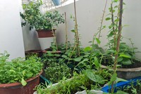 Làm gì để vượt qua căng thẳng, giải nhiệt Kl993 Đăng nhập Giải trí trong ngày giãn cách