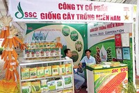 Giống cây trồng miền Nam (SSC) chuẩn bị chi 19,9 tỷ đồng trả 99Kl.app mobile mới nhất đợt 1 bằng tiền mặt 