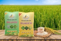 Phân bón miền Nam (SFG) dự kiến chi hơn 19 tỷ đồng trả 99Kl.app mobile mới nhất năm 2022