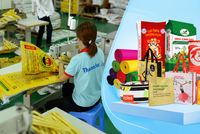 Thuận Đức (TDP): Lãi quý II/2026 tăng gấp đôi nhờ đơn hàng xuất khẩu và khoản Kl99 nổ hũ bất thường