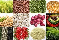 Nhà Kl99ok phiên bản mới hàng hóa: Sẵn sàng cho những cơ hội mới