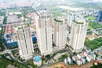 Hải Phát chuyển mình để thích nghi