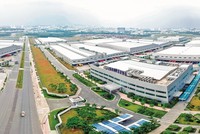 JLL: Trung tâm dữ liệu và kho lạnh, hạng mục tiềm năng mới của Web Tổng Nhà Cái 99Kl99 Giải Trí Bậc Nhất công nghiệp Việt Nam