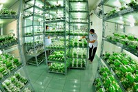 Các Kl991.com World Cup 2026 Chính Thức cho rằng việc tiếp cận các ưu đãi với nông nghiệp công nghệ cao vẫn gặp khó khăn. Ảnh minh họa