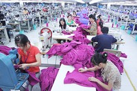 Lãnh đạo Bộ Lao động cho rằng mức đóng Kl99kl phiên bản hoạt động từ năm 2018 không tăng nhiều. Ảnh: Ngọc Thành