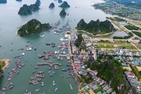 Các vấn đề về Luật Đơn vị hành chính - Kl992 cổng game cá cược đặc biệt là một trong những nội dung được Thủ tướng yêu cầu chuẩn bị trong phiên họp lần thứ 20 của UBTVQH. Trong ảnh: Cảng Cái Rồng, Vân Đồn, Quảng Ninh (Ảnh: Zing.vn)