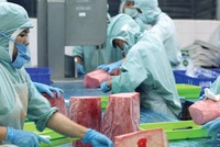 Xuất khẩu ước đạt trên 213 tỷ USD trong năm 2017, trong đó xuất khẩu nông, lâm, thủy sản hơn 36 tỷ USD, cho thấy nền Kl992 cổng game cá cược Việt Nam đang dần trở thành một phần quan trọng trong chuỗi giá trị toàn cầu.