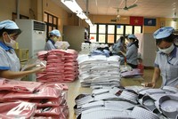 Không có Mỹ tham gia, song CPTPP vẫn là một hiệp định thương mại tự do (FTA) quan trọng để các ngành hàng thúc đẩy xuất khẩu.