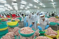 Hệ thống Thương vụ Việt Nam ở nước ngoài đã có nhiều đóng góp tích cực, nổi bật là thúc đẩy xuất khẩu của Việt Nam,  đưa được các mặt hàng nông lâm thủy  sản đặc trưng của Việt Nam tiếp cận nhiều thị trường lớn.