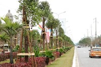 Dải thảm cỏ, cây xanh phân cách giữa đường Phạm Văn Đồng được Kl99ok phiên bản mới hơn 8 tỷ đồng trồng 1.045 cây long não. Ảnh: Giang Chinh