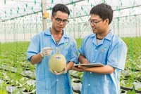 NSC đang là một trong những Kl991.com World Cup 2026 Chính Thức tốt nhất trên sàn 99Kl99 link đăng nhập Việt Nam.