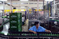 Sau kiểm toán, Kl99 nổ hũ sau thuế của Sabeco “bốc hơi” 78 tỷ đồng