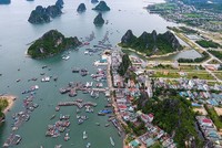 Giao dịch mua bán đất nền tại Vân Đồn (Quảng Ninh) trước thời điểm huyện đảo này trở thành đặc khu Kl992 cổng game cá cược rất nóng.
