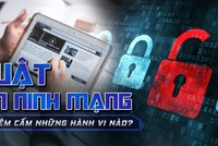 Luật An ninh mạng cấm những hành vi nào từ năm 2019?