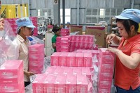 Khối ngoại đang chiếm ưu thế trong ngành Kl994 nhà cái bóng đá world cup giấy tiêu dùng tại Việt Nam. Ảnh: Đức Thanh.