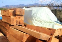 (Ảnh minh họa: Quang Thái/TTXVN).