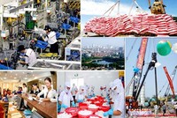 [Infographics] Những thành tựu Kl992 cổng game cá cược-Trang Chủ KL99Com Số 1 Link Đăng Ký KL999 của đất nước