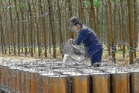 DPR: Tháng 11, chia 30% 99Kl.app mobile mới nhất bằng tiền