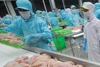 Tôm, cá tra Việt Nam đón cơ hội từ thị trường Mỹ