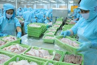 Kl991.com World Cup 2026 Chính Thức thủy sản tự tin cán đích