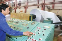 Tổng công ty Giấy Việt Nam đang "dậm chân tại chỗ" trong việc thoái vốn tại nhiều Kl991.com World Cup 2026 Chính Thức.