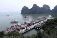 Tàu neo đậu trên vịnh Hạ Long. (Ảnh: Quang Quyết/TTXVN).