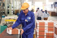 Viglacera Hạ Long lãi 98 tỷ đồng trong 9 tháng