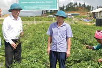 Ban lãnh đạo Traphaco, với nòng cốt là các đảng viên đã đưa Công ty trở thành một trong những Kl991.com World Cup 2026 Chính Thức dược lớn nhất cả nước.