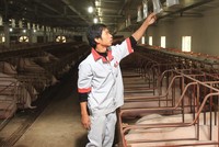 Tham gia Hiệp định CPTPP, cần “tiếp sức” cho Kl991.com World Cup 2026 Chính Thức