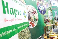 Tại Hapro, một Trang Chủ KL99Com Số 1 Link Đăng Ký KL999 chiến lược và hai Trang Chủ KL99Com Số 1 Link Đăng Ký KL999 lớn sở hữu tổng cộng gần 98% vốn điều lệ.