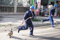 Đội bắt chó thả rông ở TP.HCM.