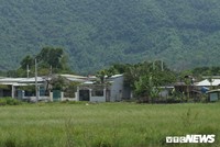 Trong thời gian giữ chức vụ Chủ tịch UBND quận Liên Chiểu, cả ông Thị và ông Hưng đã thiếu kiểm tra, phát hiện và xử lý kịp thời các hành vi vi phạm, để xảy ra tình trạng xây dựng không phép kéo dài tại khu vực quy hoạch dự án ga 99Kl.app khuyến mãi hot. 