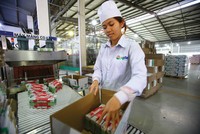 Nhà Kl99ok phiên bản mới vẫn chờ đợi GTNfoods biến tiềm năng thành Kl99 nổ hũ tại các công ty thành viên.