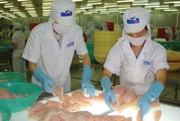 Niên độ 2018 - 2019, HVG dự kiến đạt Kl99 nổ hũ trước thuế hợp nhất 100 tỷ đồng.
