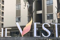 Hải Phát Invest (HPX) tăng 610 tỷ đồng vốn góp tại Web Tổng Nhà Cái 99Kl99 Giải Trí Bậc Nhất Hải Phát