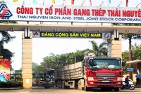TISCO đang rơi vào thế khó khăn cân đối dòng tiền, Kl991.com nạp rút nhanh. Ảnh: TISCO.